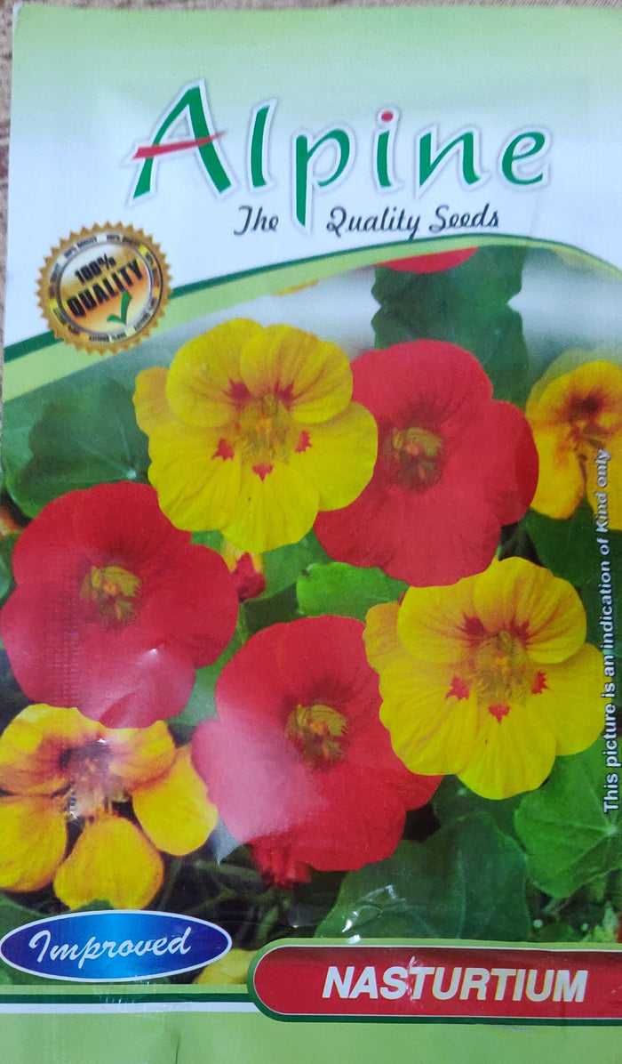 Nasturtium ALPINE
