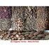 Organic Vegetable Seeds - Pack 4 - SK Organic Farms