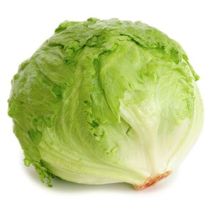 Lehuce Ice Berg Imp
