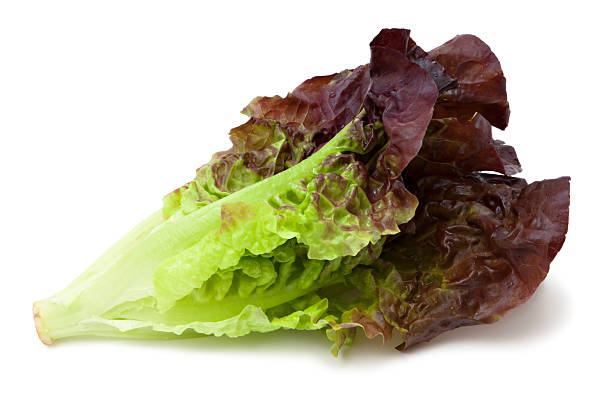 Lehuce Red