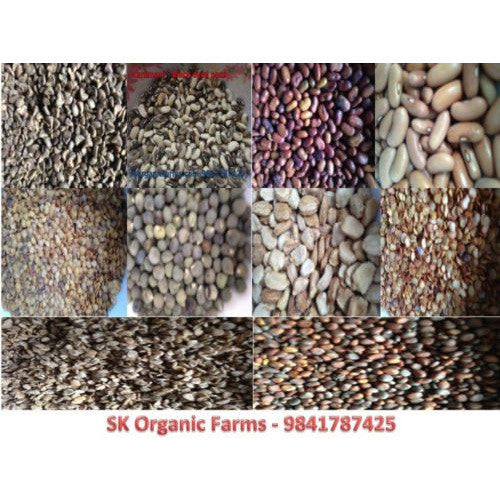 Organic Vegetable Seeds(pack of 10) - Pack 3