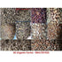 Organic Vegetable Seeds - Pack 3 - SK Organic Farms