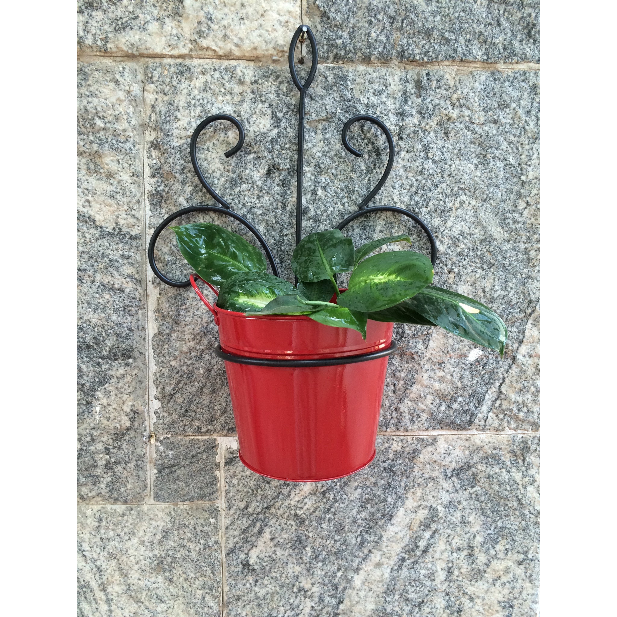 Wrought Iron - SK Organic Farms