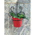 Wrought Iron - SK Organic Farms