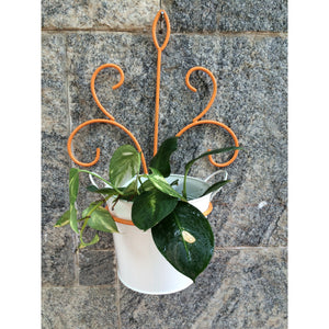 Wrought Iron - SK Organic Farms