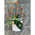 Wrought Iron - SK Organic Farms