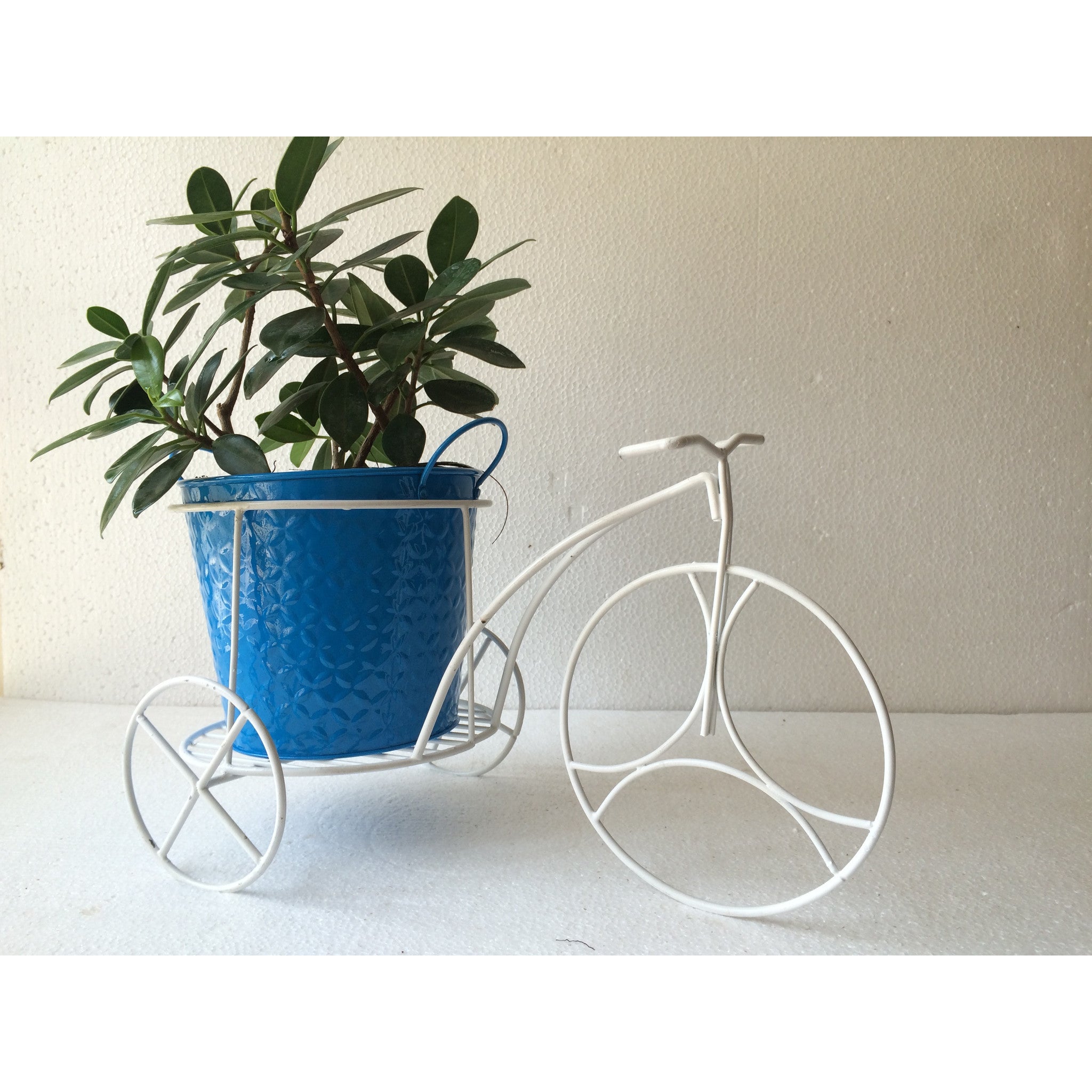 Wrought Iron - SK Organic Farms