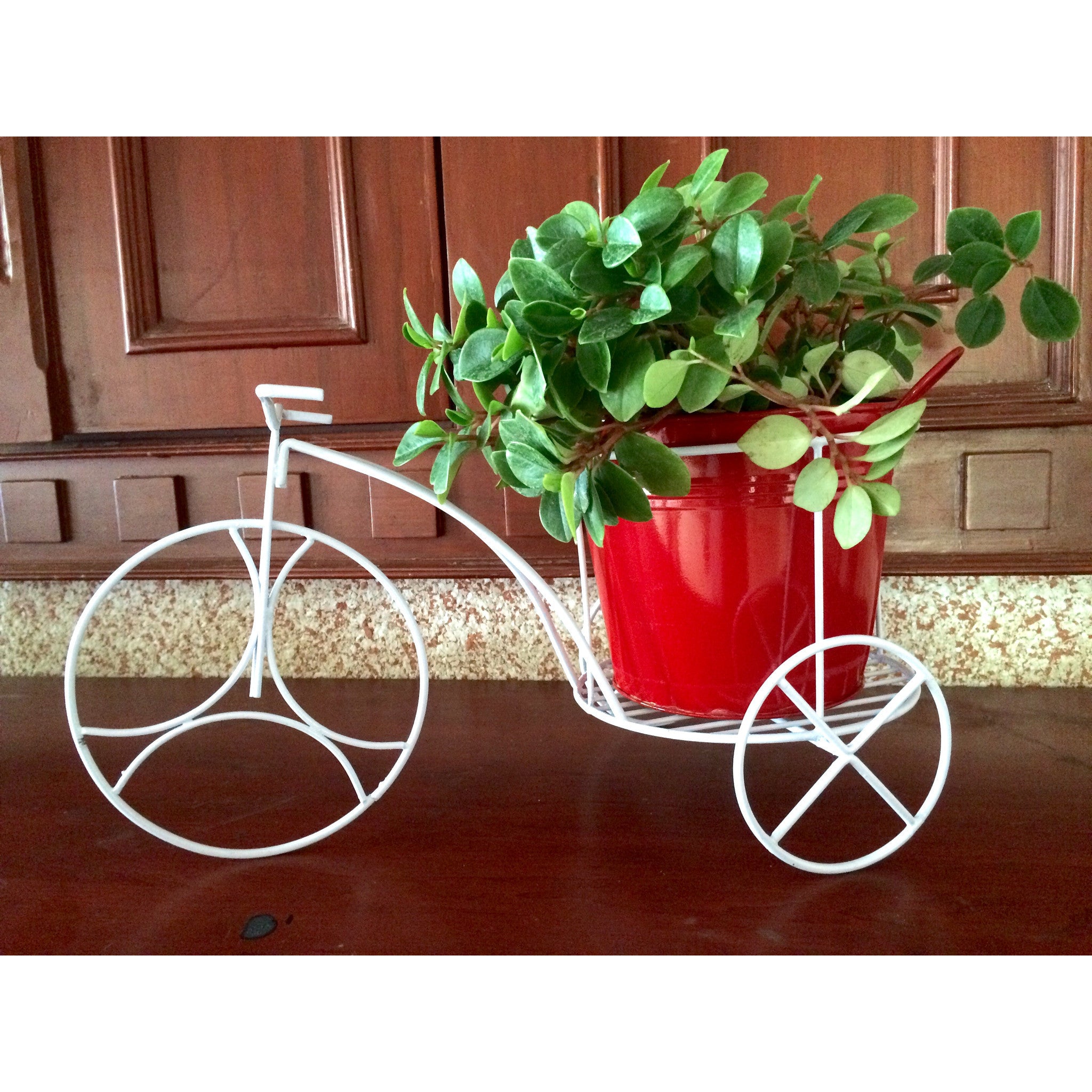 Wrought Iron - SK Organic Farms