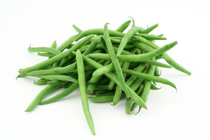 Beans - Bush