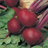 Beetroot - SK Organic Farms