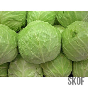 Cabbage Golden Acre - SK Organic Farms