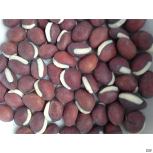Broad Beans - SK Organic Farms