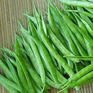 Cluster Beans