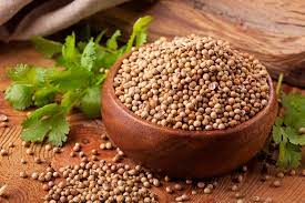 Coriander