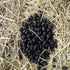 Goat Manure - SK Organic Farms