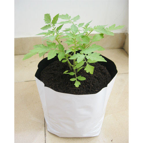 LDPE Grow bag for Terrace/Kitchen Garden - Green