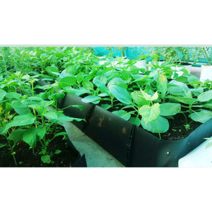 Grow Troughs - SK Organic Farms