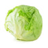 Lettuce Ice Berg - Biocarve
