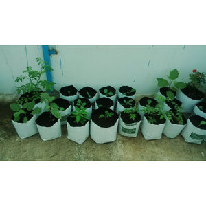 LDPE Grow bag for Terrace/Kitchen Garden - SK Organic Farms