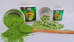 Wheat Grass Powder - SK Organic Farms