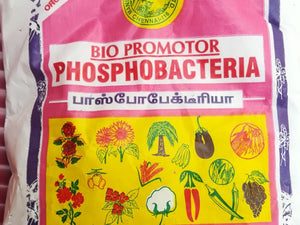 Phosphobacteria
