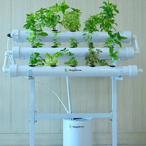 Hydroponic Home kit