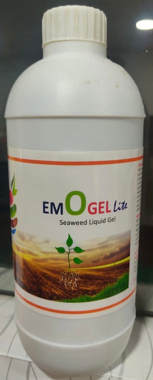 EMO GEL (Sea weed Liquid Gel) - Lite