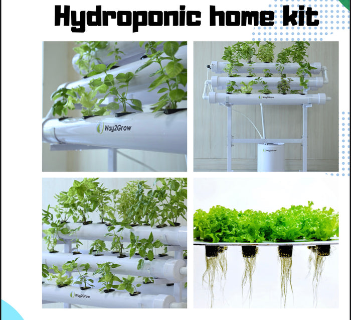 Hydroponic Home kit