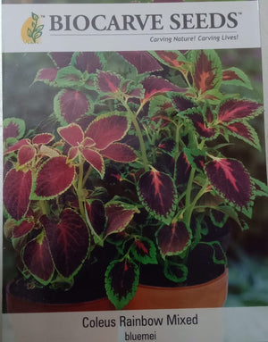Coleus Rainbow Mixed (bluemei) 2gm -Biocarve