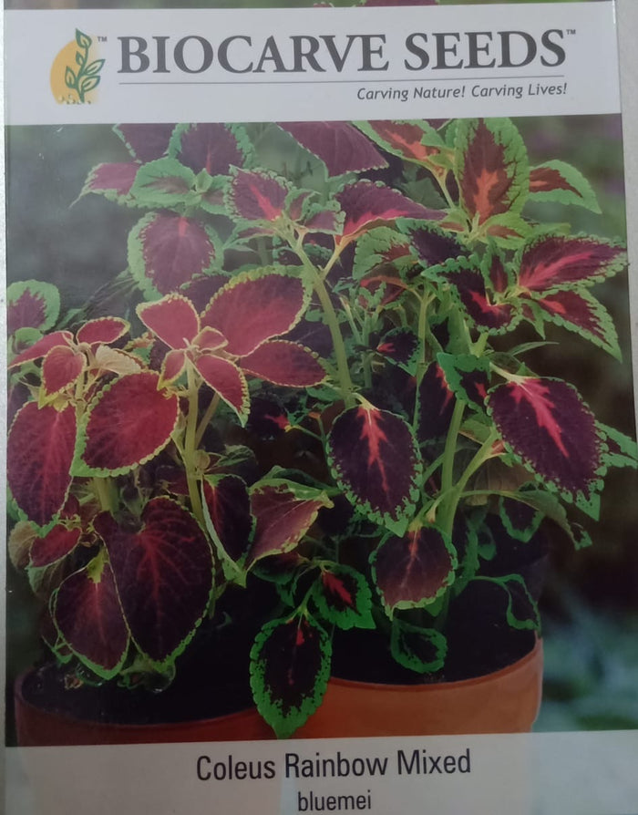 Coleus Rainbow Mixed (bluemei) 2gm -Biocarve
