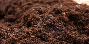 Potting Mix/Soil