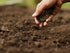 Potting Mix/Soil