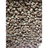 Kenaf ( pullicha keerai )