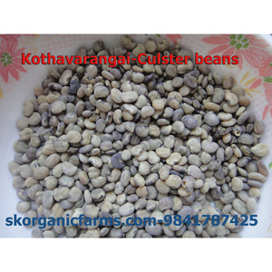 Cluster Beans - SK Organic Farms