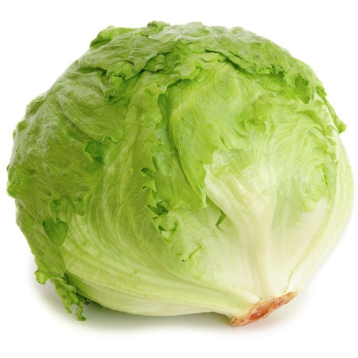 Lettuce