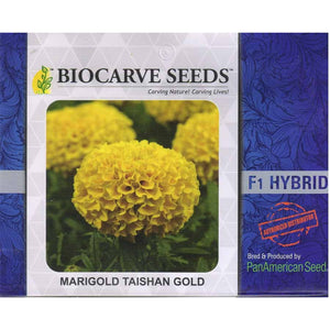 Marigold African Taishan - 20 seeds - SK Organic Farms