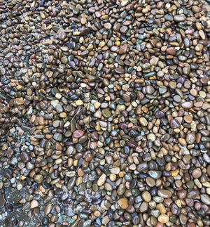 Pebbles - SK Organic Farms