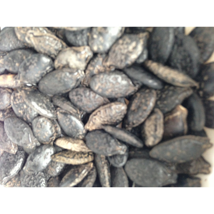 Ridge Gourd