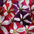 Petunia N C Stars Mix - SK Organic Farms