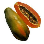 RED LADY - PAYAYA Seeds - F1 Hybrid - SK Organic Farms