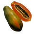 RED LADY - PAYAYA Seeds - F1 Hybrid - SK Organic Farms