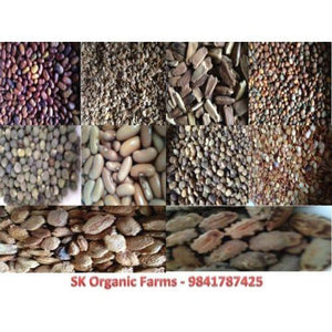 Organic Vegetable Seeds (pack 10) - Pack 2