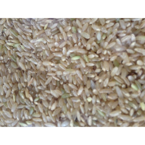 Native Rice - Vasanai Seeraga Samba - SK Organic Farms