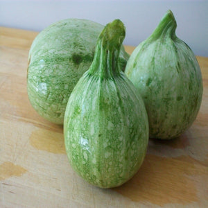 Squash Green - SK Organic Farms